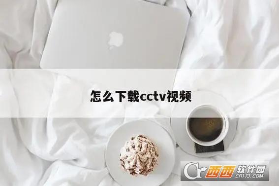 下载视频到本地,央视影音,下载软件.